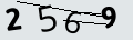 verifycode